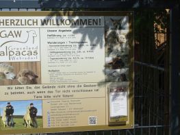 Alpaca Farm Sohland OT Wehrsdorf